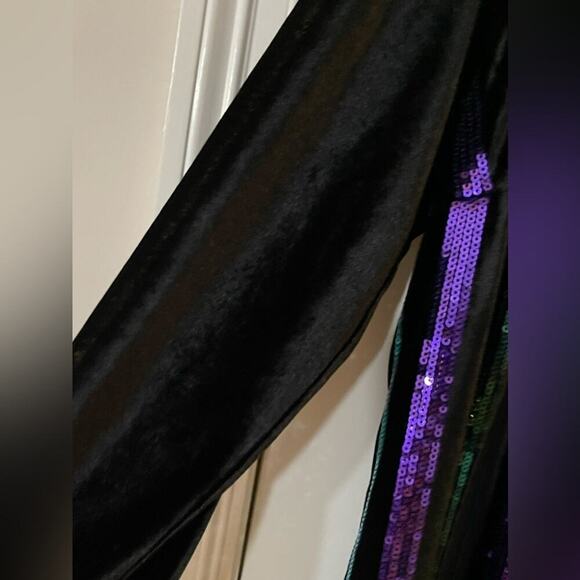 Eloquii Sequin Stripe Dress With Velvet Sleeves - EUC - 22W - Picture 5 of 6